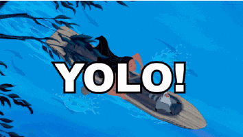 YOLO, You Only Live Once